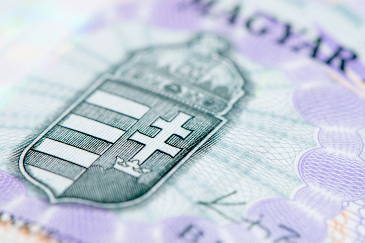 Benne van a pakliban, hogy egy év múlva 340 forinton váltunk eurót