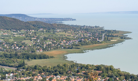 Trópusi élőlény terjed: már a Balatont is veszélyezteti