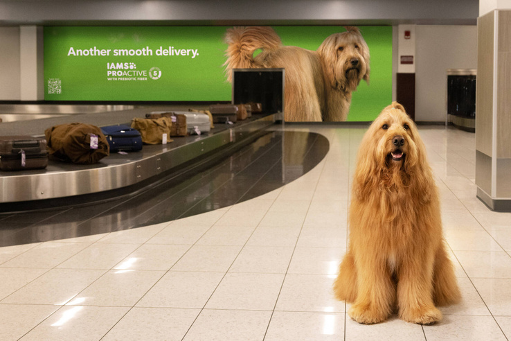 Ez a látvány fogadta a reptéren az utasokat