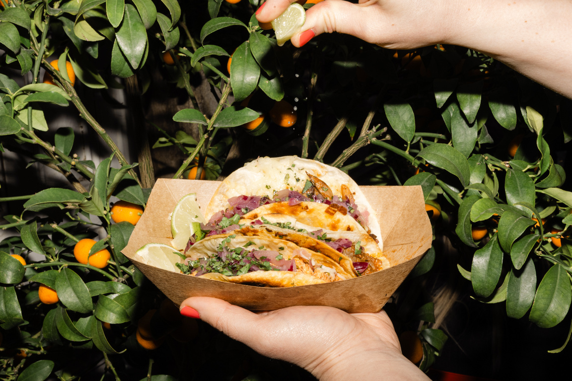 Birria ForgacsZsuzsi 20260423-11