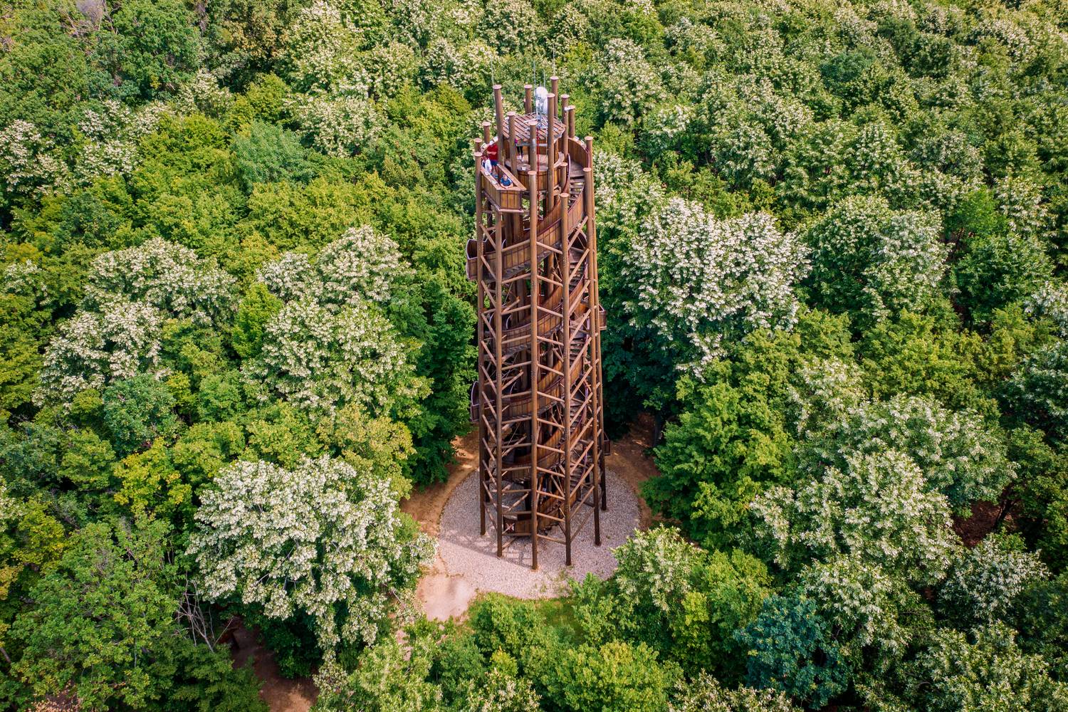A Zselici Csillagpark kilátótornya különleges panorámát nyújt a környező tájra, miközben kiváló pontot biztosít az égbolt megfigyeléséhez is.