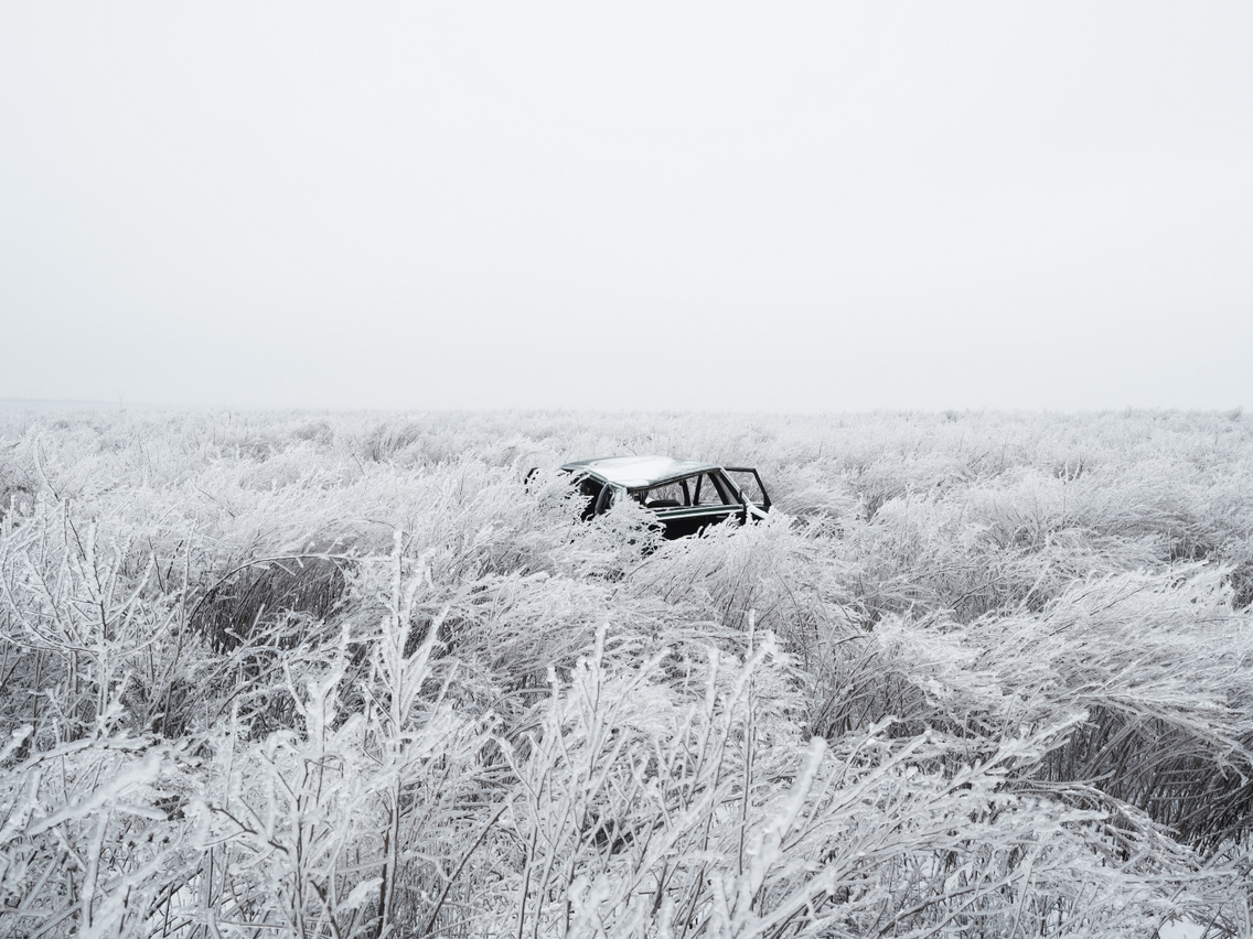 White Series, 2017, 2022 - 2024