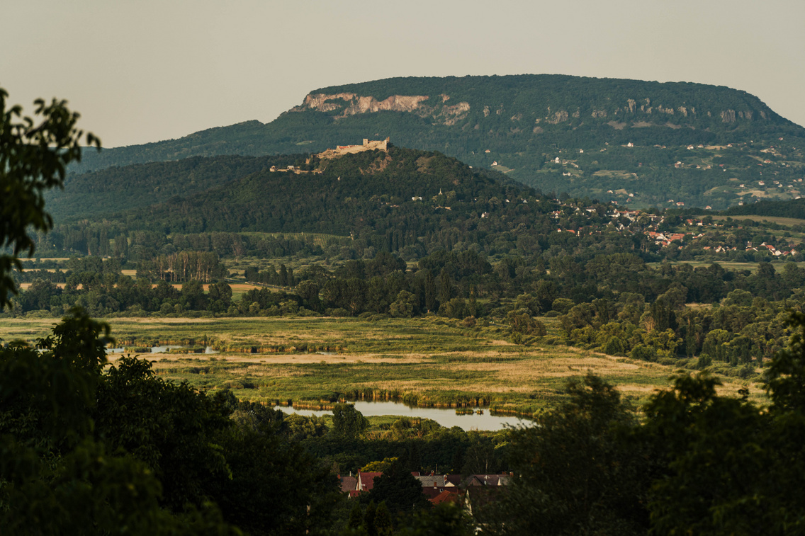 ederics-tura-korosi-tamas-50