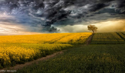 Így alakíthatja át időjárásunkat a szuper El Niño