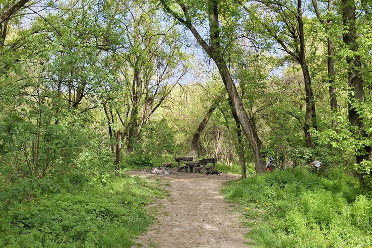Hódok, minaret és egy rejtélyes sziget is vár ezen a Budapesthez közeli településen