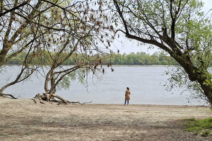 Azt hitted, Érden nincs semmi? – Hódok, minaret, római út és egy rejtélyes sziget is vár ezen a különleges részen