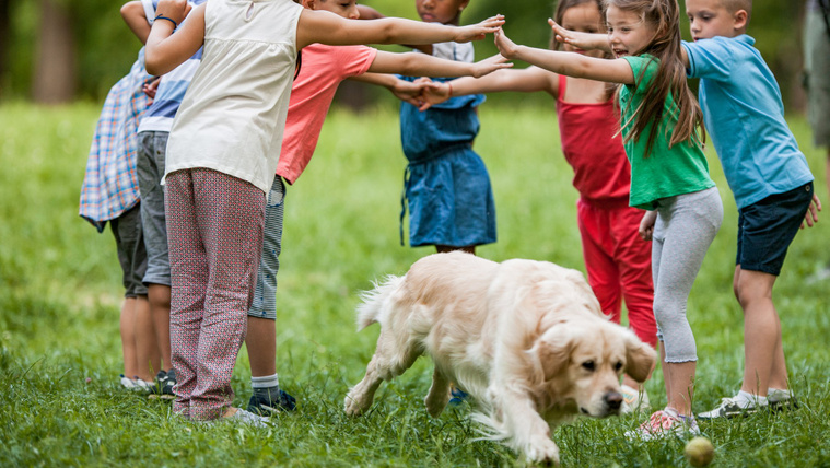 „Minden iskolába kellene egy kutya!” – Tanulás örömmel, négylábú segítséggel