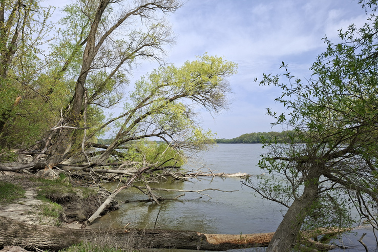 Hódok, minaret és egy rejtélyes sziget is vár ezen a Budapesthez közeli településen
