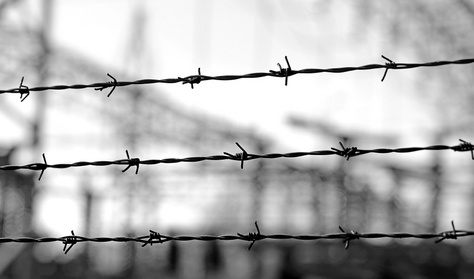 Mengele rejtélyes döntése: 51 magyar fiú menekült meg a gázkamrától