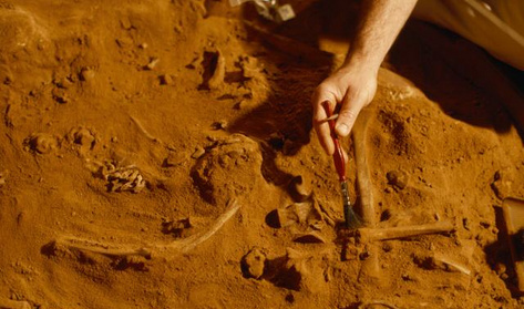 Magyar amazon tartja lázban a tudományos életet, így nézett ki egykor