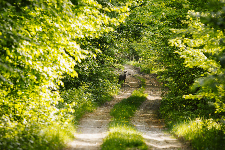 Mennyire ismered Magyarország természeti kincseit? – Kvíz