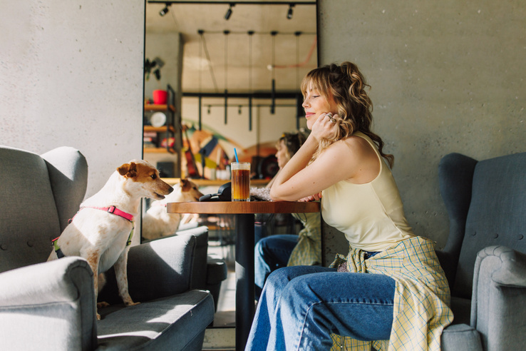 A kutyabarát megoldások egyben marketingeszközök is