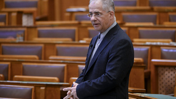 Nem indul már tisztségért és a parlamentbe sem ül vissza a fideszes alelnök