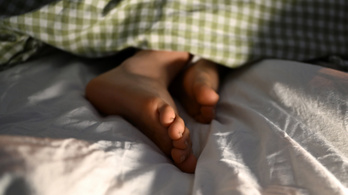 Veszélyes életmód a csúcson: ebben hasonlít Magyar Péter, Orbán Viktor és Gyurcsány Ferenc