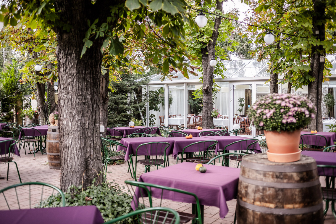 jardinette hartyanyi-norbert 20160922