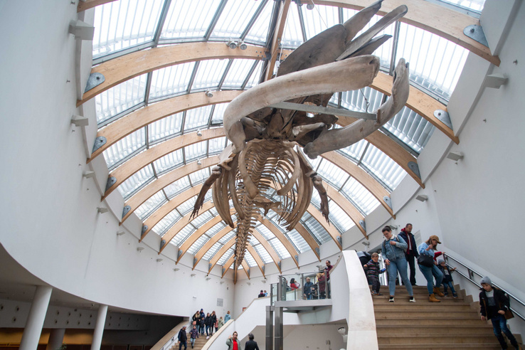 Új kormánya lesz Magyarországnak, felébredtek álmukból a&nbsp;múzeumok