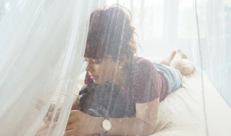 Szúnyoginvázió a Balatonnál