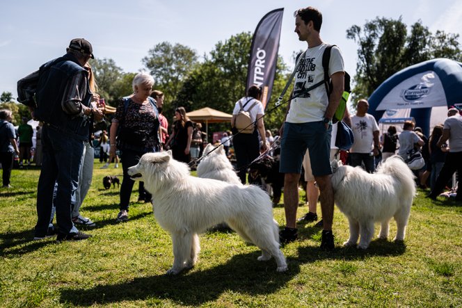 Kutyául érzi majd magát az, aki otthon marad idén május elsején
