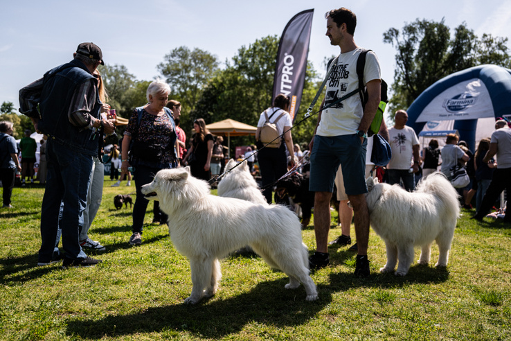 Kutyául érzi majd magát az, aki otthon marad idén május elsején