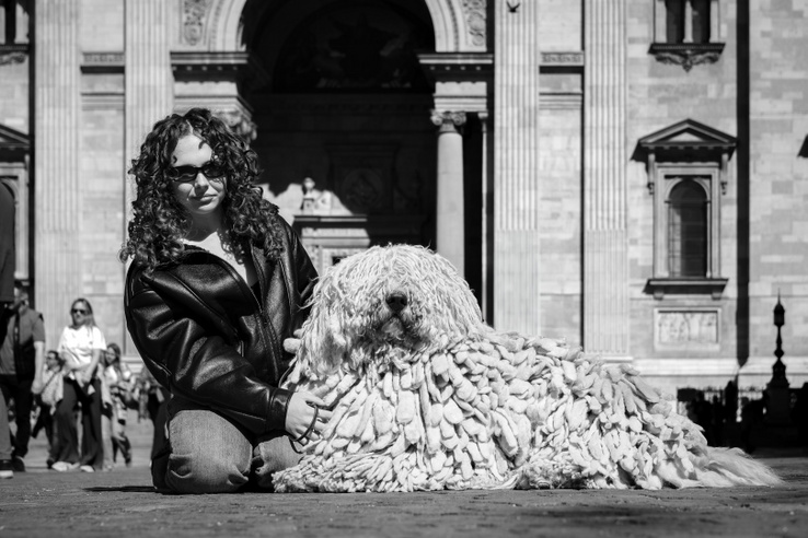 Egy komondor miatt kellett tömeget oszlatni a Bazilika előtt