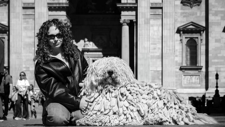 Egy komondor miatt kellett tömeget oszlatni a Bazilika előtt