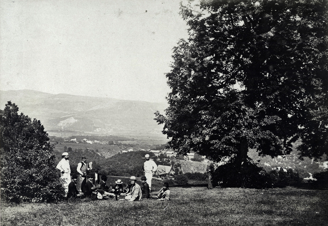 Normafa lejtő, kilátás a Disznófő-forrás környékéről Fácános irányába. A felvétel 1880–1890 között készült