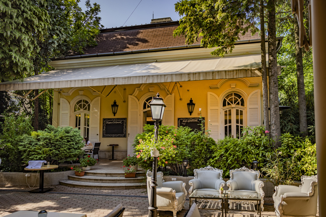 Vadrózsa 250613 Szabó Gábor 023