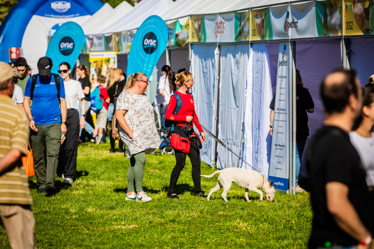 A márkával való találkozás személyes, emlékezetes és releváns élménnyé válik