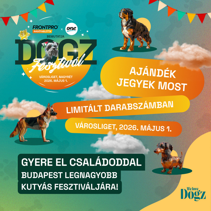 DOGZ Fesztival 2026 1080x1080 ONE v3