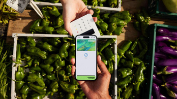 Ezért számít igazán a fintech újítása: nem az a lényeg, hogy ingyenes