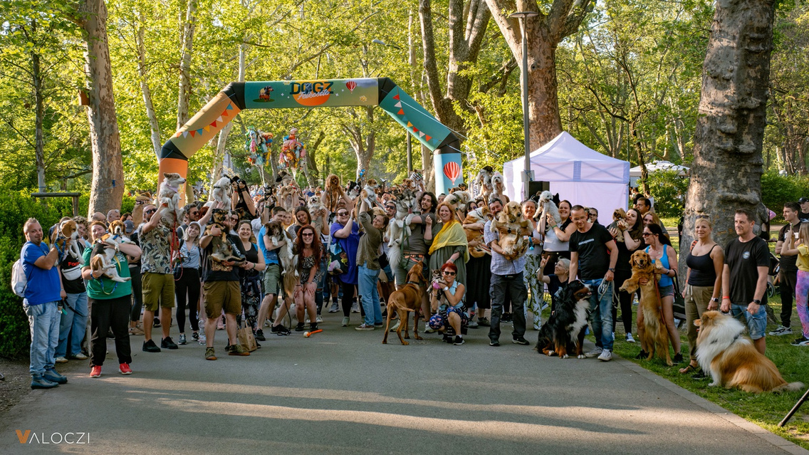 Kozos falkaseta a Dogzon