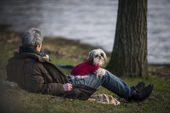 A háziállatok az elmagányosodó társadalmak megmentői