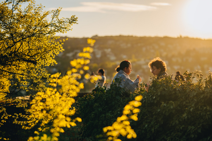We Love Budapest Piknik, Magyar Film Napja, Budapest Tavaszi Fesztivál: íme a hétvége legjobb programjai