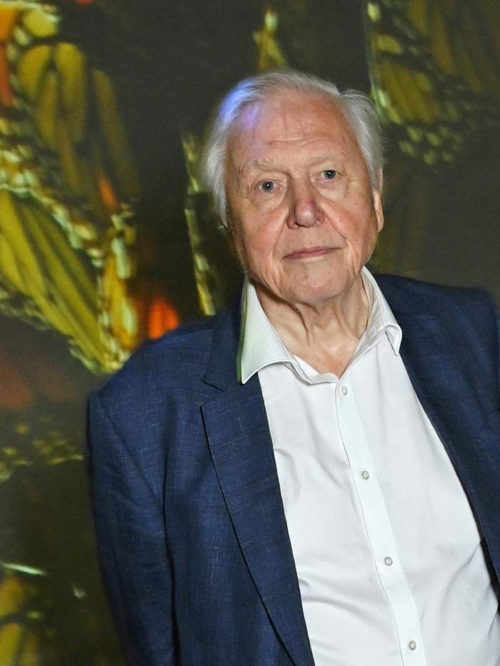 Óriási buli lesz Sir David Attenborough 100. születésnapja, itt vannak a részletek