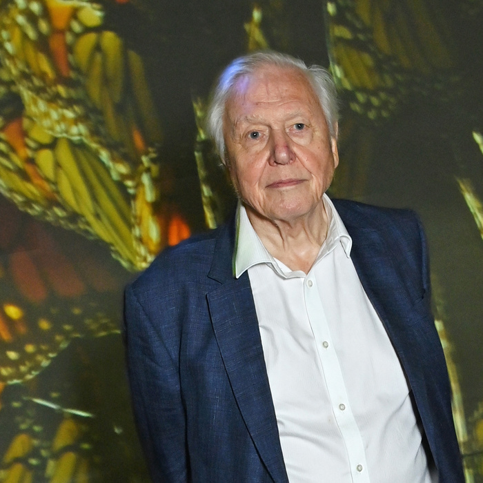 Óriási buli lesz Sir David Attenborough 100. születésnapja, itt vannak a részletek
