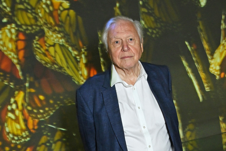 Óriási buli lesz Sir David Attenborough 100. születésnapja, itt vannak a részletek