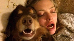 10 világhírű színész és kutyája - KÉPGALÉRIA