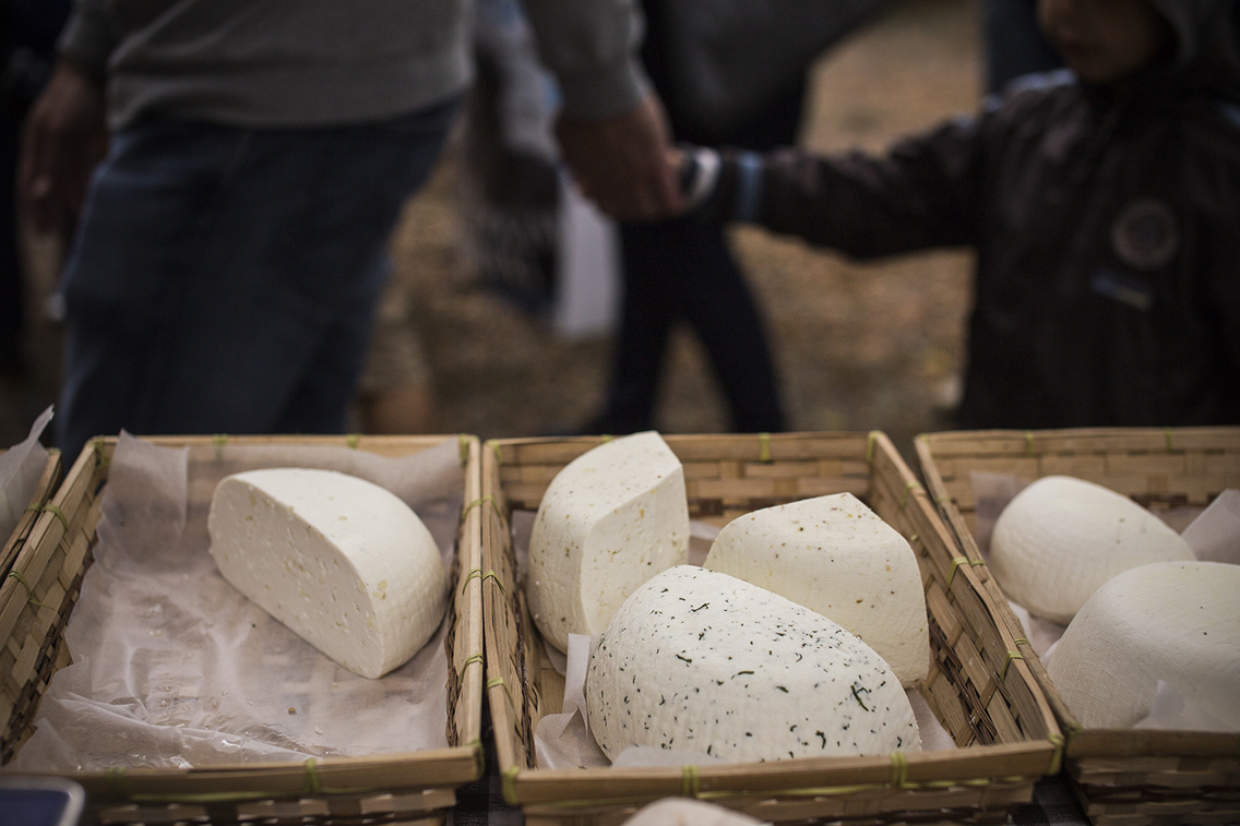 liliomkert-piac-kaptalantoti heim-alexandra 20160717