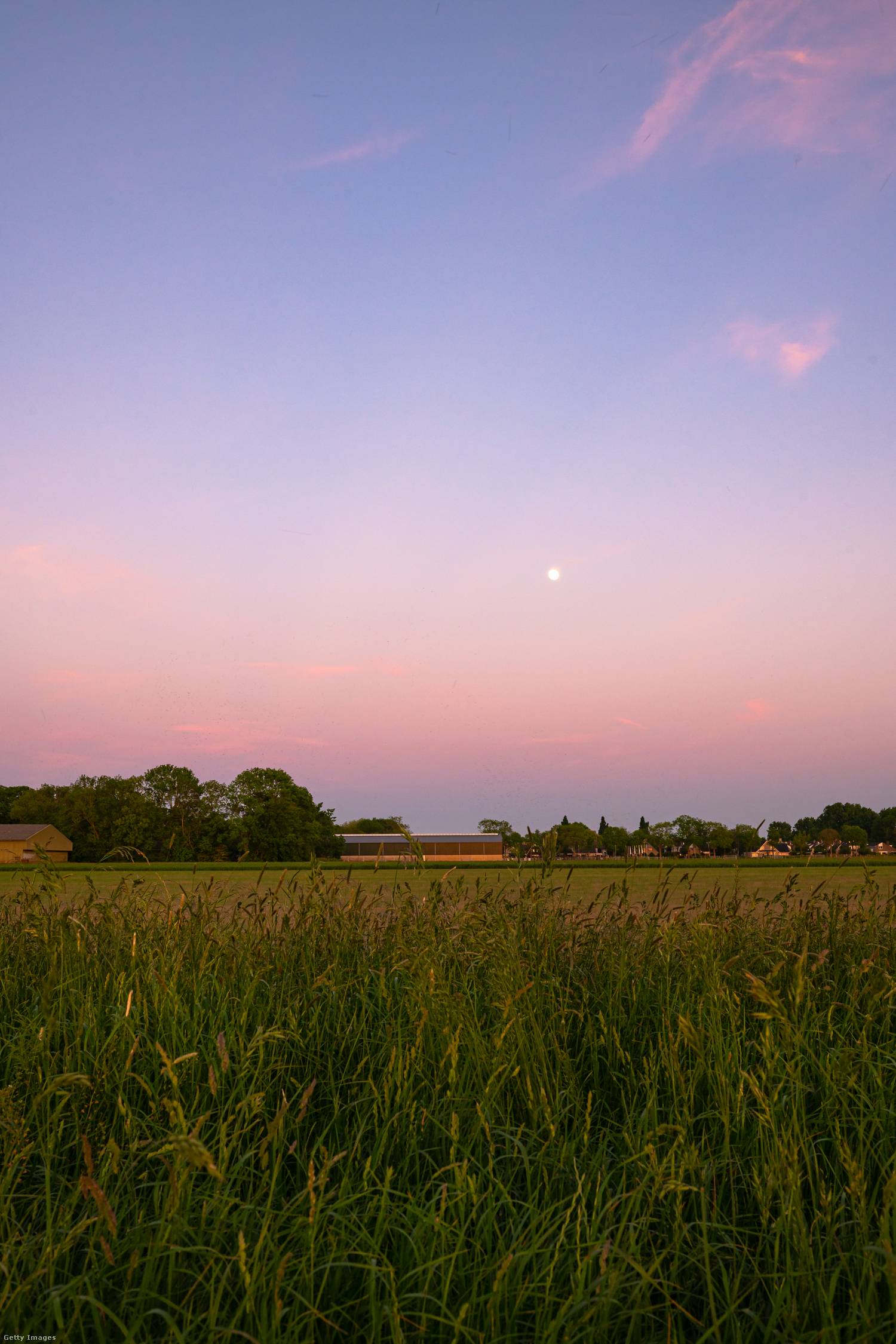 Telihold május elsején a Vénusz öve jelenséggel 1