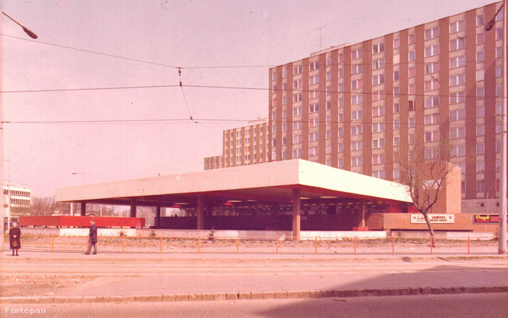 Liget (Zalka Máté) tér, szemben a Kőrösi Csoma sétány (ekkor út), háttérben a Szent László-templom tornya, 1952