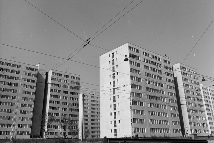Ezt az újpesti lakótelepet Szellemtelepnek is hívják, és a misztikum sűrű köde lengi körül