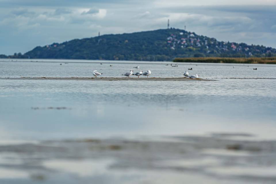 A Balaton vízszintje régen métereket is ingadozott – 8 érdekesség a tóról és a helyről, ahol kutatják