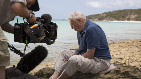 A 100 éves David Attenborough legszebb spontán pillanatai - KÉPGALÉRIA