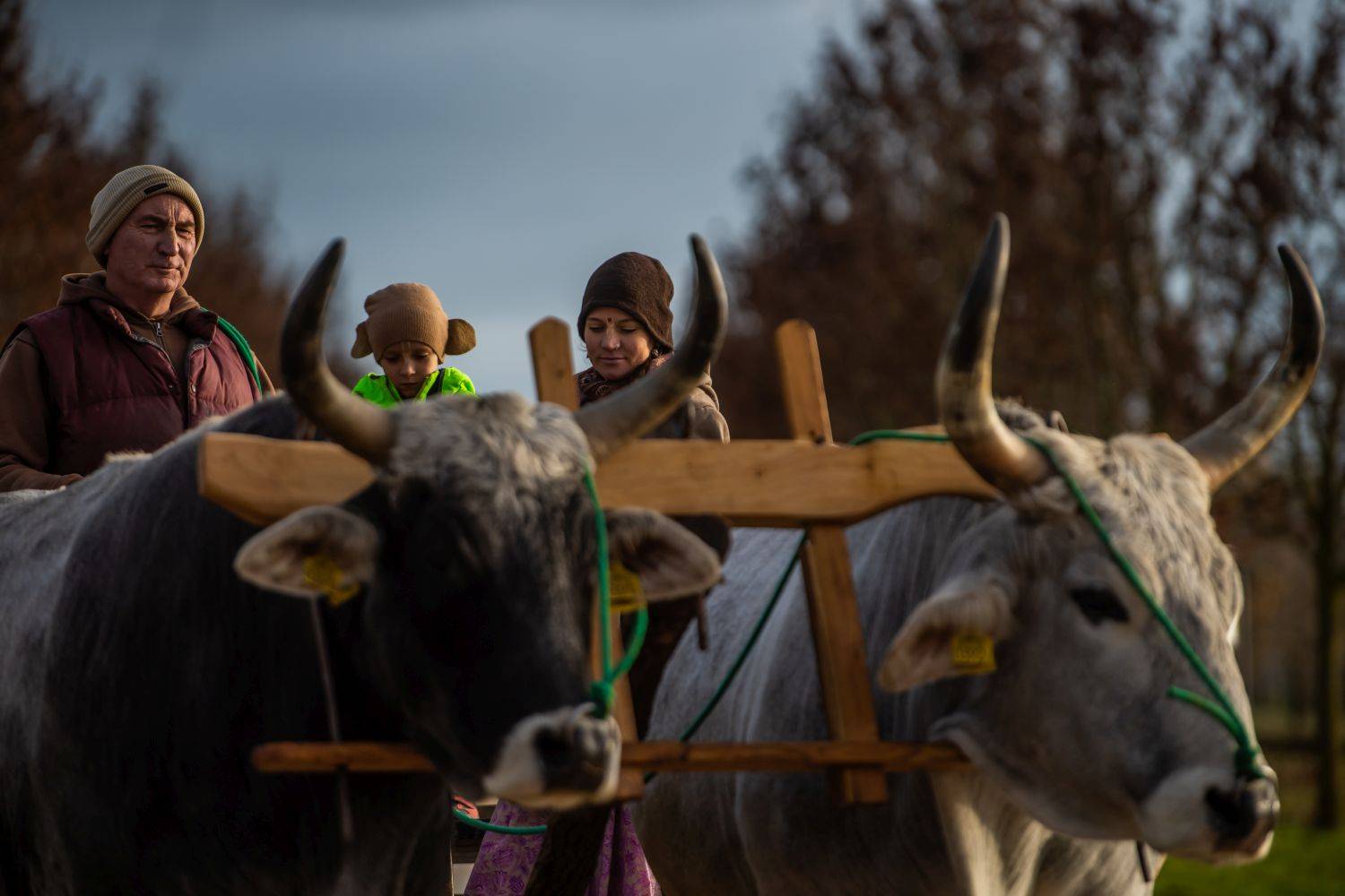 krisna 1% felajánlás