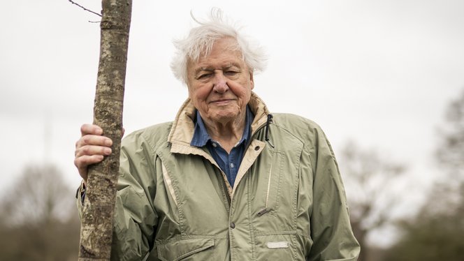 A 100 éves David Attenborough hivatalosan kiöregedett a legózásból, lépett a cég