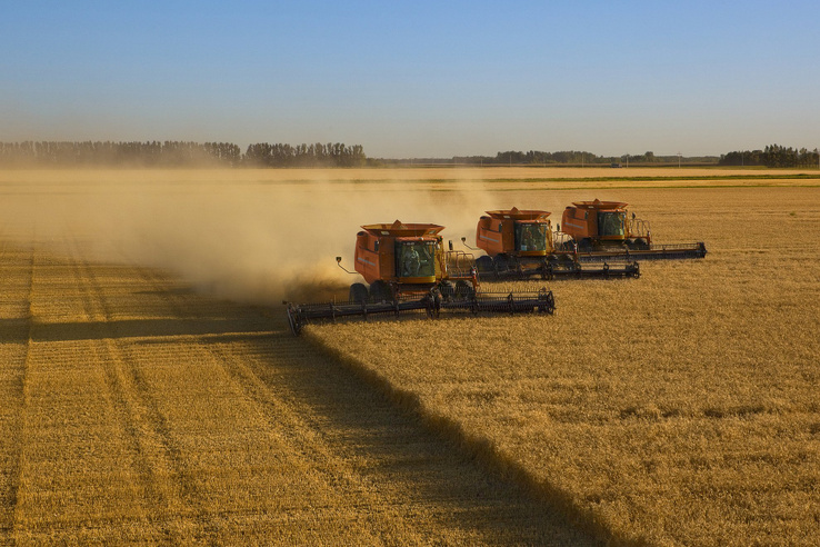„Lesz, ahol semmit sem vetünk” – drámai fordulat előtt a magyar agrárium