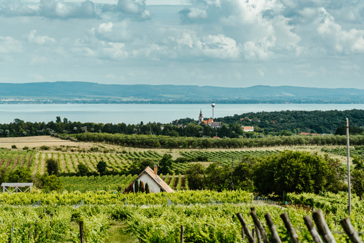 Átmennél az érettségin, ha a Balaton lenne a téma? - Kvíz