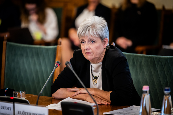 Lannert Judit legerősebb mondatai, amelyek megmutatják, milyen oktatást ígér