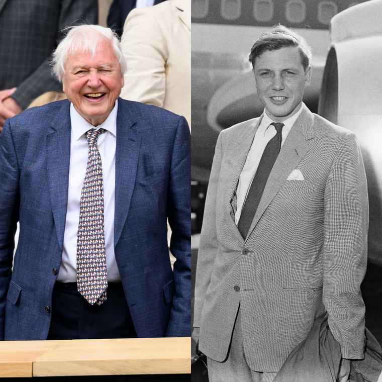 Sir David Attenborough (100)A közkedvelt természetvédő, Sir David Attenborough május 8-án lett 100 éves