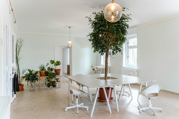 Laptop, kávé, balatoni elvonulás: ilyen coworking helyeken dolgozhatunk a tó környékén